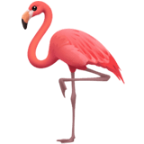 Flamingo emoji, Apple, iOS 17.4