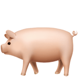 Pig emoji, Apple, iOS 18.4