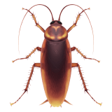 Cockroach emoji, Apple, iOS 18.4