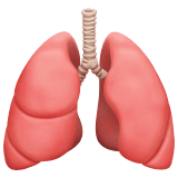 Lungs emoji, Apple, iOS 18.4