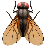 Fly emoji, Apple, iOS 26