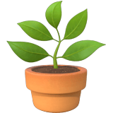 Potted Plant emoji, Apple, iOS 26