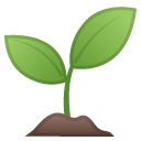 Seedling emoji, Google, Redesign, 2017