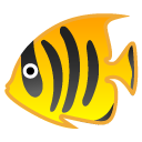 Tropical Fish emoji, Google, Android 2018