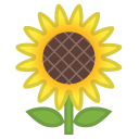 Sunflower emoji, Google, Android 2020