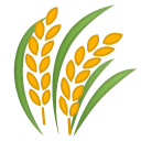Sheaf of Rice emoji, Google, Android 2020