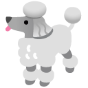 Poodle emoji, Google, Android 2020