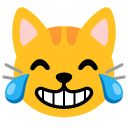 Cat with Tears of Joy emoji, Google, Android 2020