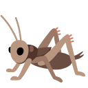 Cricket emoji, Google, Android 2020