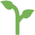 Seedling emoji, Twitter / X, Twemoji 14