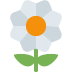 Blossom emoji, Twitter / X, Twemoji 15